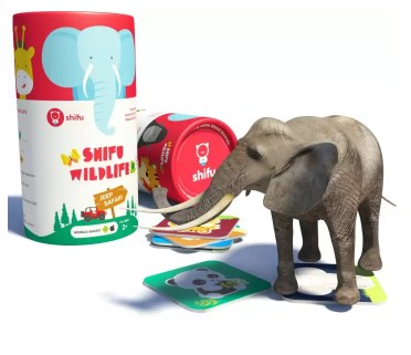 flipkart educational toys