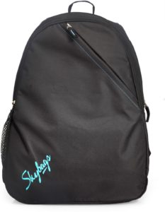 flipkart skybags backpacks