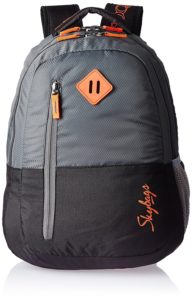 skybags under 600