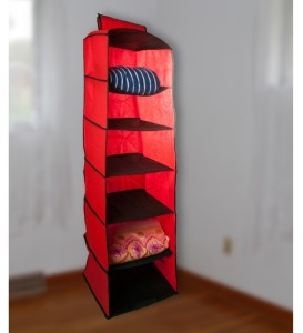 Birde Foldable Clothes Organizer