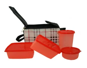 Topware Lunch Box Food Grade Containers and Insulated Bag (4 Pcs.) Rs 110 shopclues