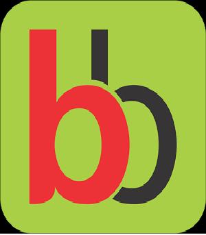 BIG BASKET APP LOGO