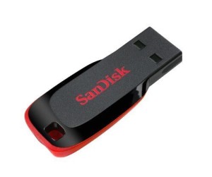 Amazon SanDisk Cruzer Blade SDCZ50-016G-B35 16 GB USB 2.0 Pen Drive