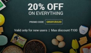 grofers-20per-off-on-everything