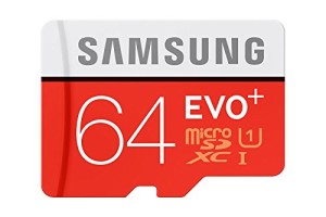 samsung-evo-cklass10-64gb