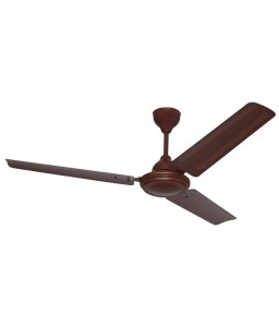 Sameer 48 5 Star Ceiling Fan Brown