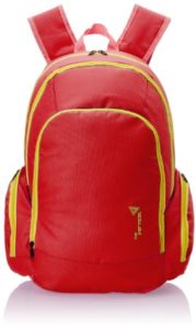 Amazon The Vertical Fuse Red Casual Backpack