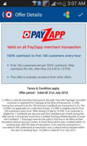 PAYZAPP 100