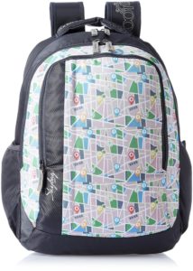 Amazon - Buy Skybags Helix 29.5 Ltrs Grey Casual Backpack at Rs 870 only