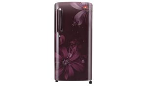 lg-b201asan-direct-cool-single-door-refrigerator-190-ltrs-5-star-rating-scarlet-aster-rs-12190-only-amazon