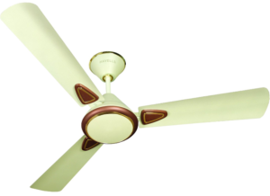 Havells Fusion 2 900mm Matte Finish Ceiling Fan (Pearl Ivory and Brown)