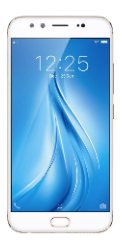 Vivo V5 Plus 64 GB (Gold)