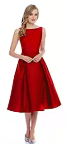 Women's Dress(EC_534_red_Free Size)