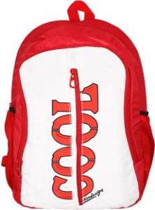 Flipkart Swiss Design backpacks at Rs 299