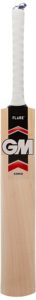 Amazon- Buy GM Sting Kashmir Willow Cricket Bat, Short Handle for Rs 870