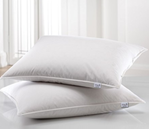 Story Home Luxurious 2 Piece Microfibre Pillow Set