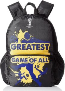 Flipkart- Buy Fifa Laptop Backpack