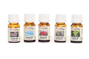 eCraftIndia Set of 5 10ML High Quality Aroma Oil in 5 Fragnances(Citronella, Cool Water, Eucylptus, Rose Merry, Tea Tree - Total 50ml)