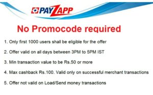 Payzapp- Get Flat 100% cashback