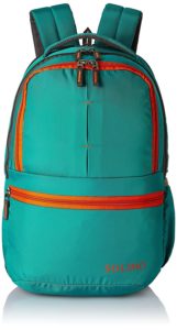 Solimo 25 Ltrs Green Casual Backpack