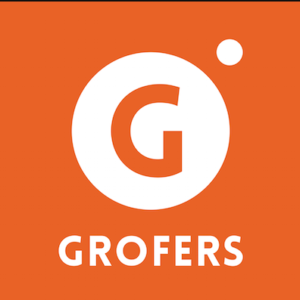 grofers icici