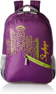 skybags casual back pack