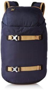 Amazon- Buy Puma 22 Ltrs Peacoat Apple Cinnamon Laptop Backpack at Rs 885