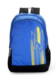 Aristocrat Zing 24 Ltrs Blue Casual Backpack