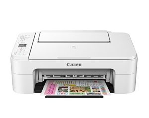 Canon TS 3177S InkJet Printer