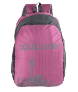 Dussledorf Polyester 20 Liters Grey And pink Laptop Backpack With Adjustable Strap