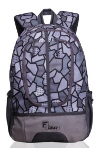 F Gear Dropsy 3D 22 Ltrs Casual Laptop Backpack