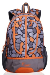 F Gear Dropsy 3D 22 Ltrs Casual Laptop Backpack