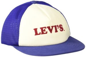 Amazon- Buy Levis Men's Cap (77136-0429_White & Blue_One Size) at Rs 266