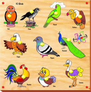 Ammazon - Buy Kinder Creative Birds with Knobs, Brown (10 Pieces)  at Rs 117 only