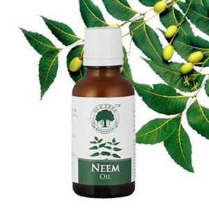 Amazon - buy Old Tree Neem Oil for Dandruff Removal, 30ml at Rs 74 only