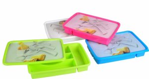 Amazon- Buy Haixing Plastic Cutlery Box with Lid, 200ml, Multi-colour at Rs 105