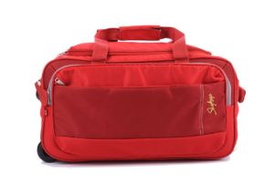 (Steal) Amazon - Buy Skybag, Aristocrat, Pronto and other Branded Duffle at 80% off starting from Rs. 450