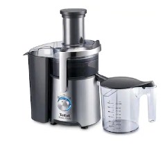 TEFAL Easy Fruit 800 W Juicer Mixer (Black & Steel)