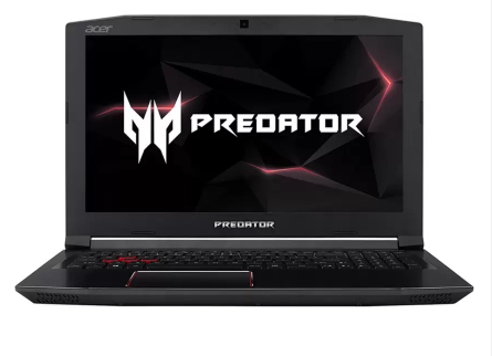 Acer pediator