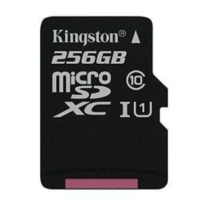 Professional Kingston 256GB Asus ZenFone Zoom MicroSDXC Card with Custom formatting and Standard SD Adapter! (Class 10, UHS-I) at Rs 33959