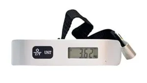 EzLife Nylon Luggage Scale Silver Rs 226 amazon dealnloot