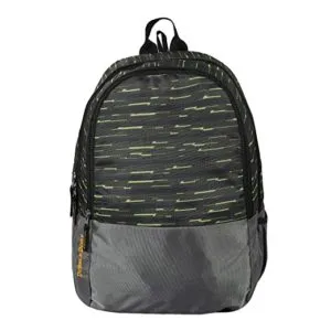 Dussle Dorf Polyester 25 Liters Laptop Backpack Rs 199 amazon dealnloot