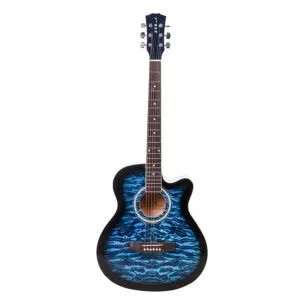 ARCTIC Vigor Acoustic Guitar