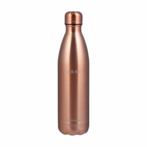 Aqua-Bot Double Wall Stainless Steel Vacuum Insulated Hot and Cold Flask