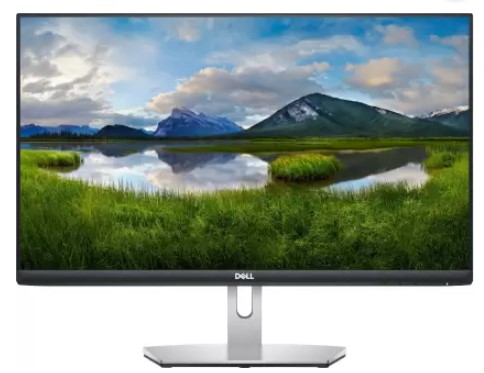 DELL 24 inch Full HD IPS Panel Monitor (S2421HN)  (AMD Free Sync)